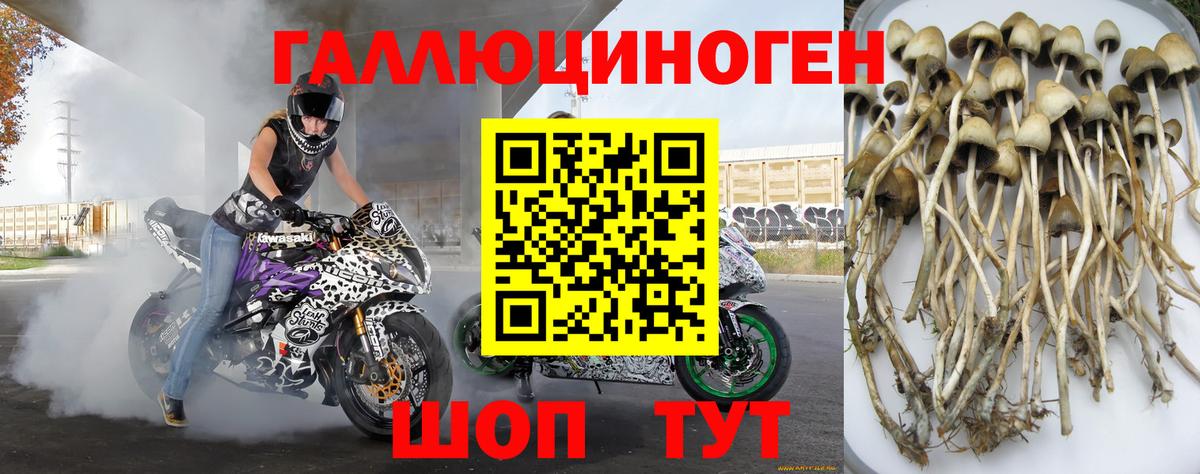 Шарыпово  Галлюциногенные грибы MAGIC MUSHROOMS  Вход с VPN  Галлюциногенные грибы Magic Shrooms 